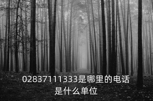 成都市成華區起跑線大廈，02837111333是哪里的電話是什么單位