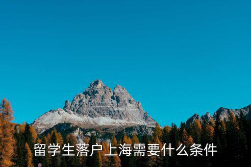 留學(xué)生落戶上海需要什么條件