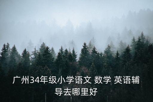 廣州34年級小學語文 數學 英語輔導去哪里好