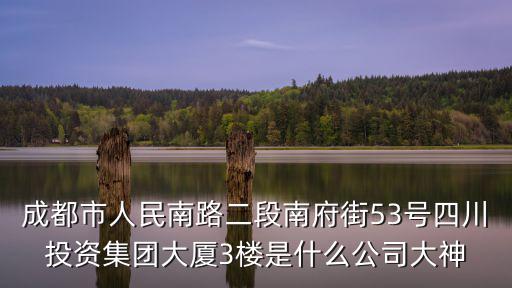 成都市銀龍能源，成都市人民南路二段南府街53號四川投資集團大廈3樓是什么公司大神