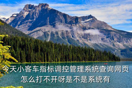 今天小客車指標調(diào)控管理系統(tǒng)查詢網(wǎng)頁怎么打不開呀是不是系統(tǒng)有