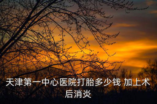 天津市第一中心醫(yī)院打胎多少錢(qián)，天津第一中心醫(yī)院打胎多少錢(qián) 加上術(shù)后消炎