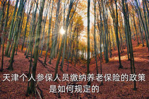 天津個人參保人員繳納養老保險的政策是如何規定的