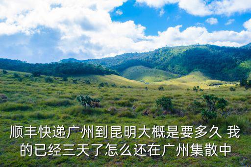 廣州到昆明官渡集散中心順豐，從廣州寄順豐快遞到云南省昆明市官渡區(qū)雙鳳村幾天能到