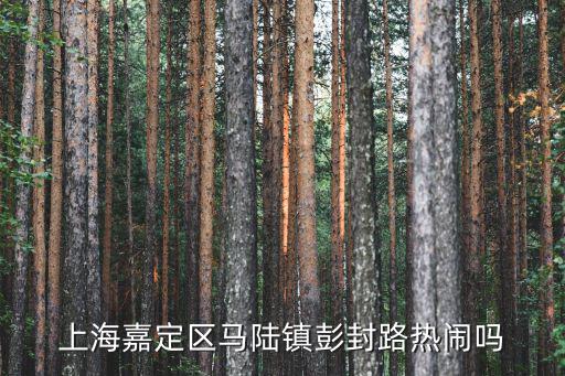 上海嘉定區(qū)馬陸鎮(zhèn)彭封路熱鬧嗎