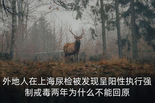 上海陽性總?cè)藬?shù)是強(qiáng)制運(yùn)走的嗎，截至2011年末上海戶籍人口總數(shù)為141936萬人比上年末增長0
