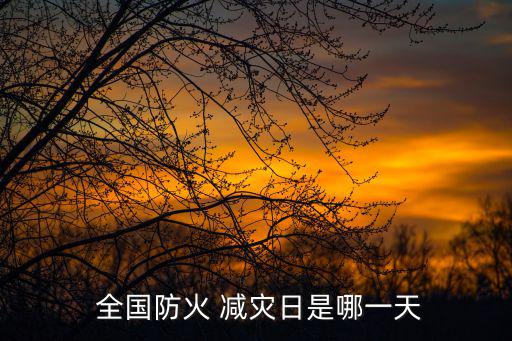 全國防災(zāi)減災(zāi)日,中國防災(zāi)減災(zāi)新常態(tài)