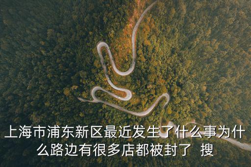 上海市浦東新區最近發生了什么事為什么路邊有很多店都被封了  搜