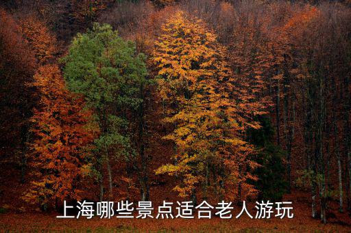 上海哪些景點適合老人游玩
