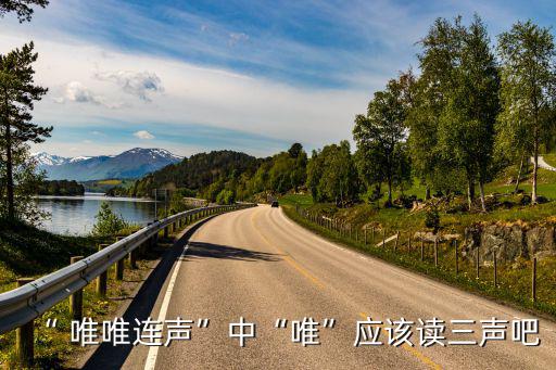 “ 唯唯連聲”中“唯”應該讀三聲吧