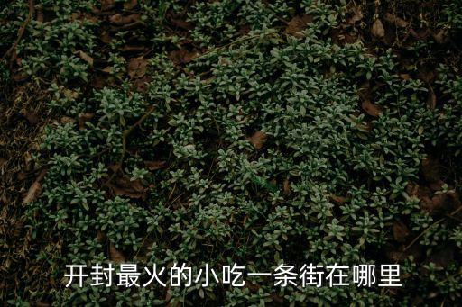  開封最火的小吃一條街在哪里