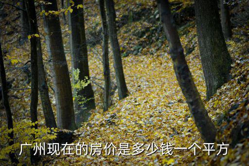 廣州現(xiàn)在的房?jī)r(jià)是多少錢一個(gè)平方