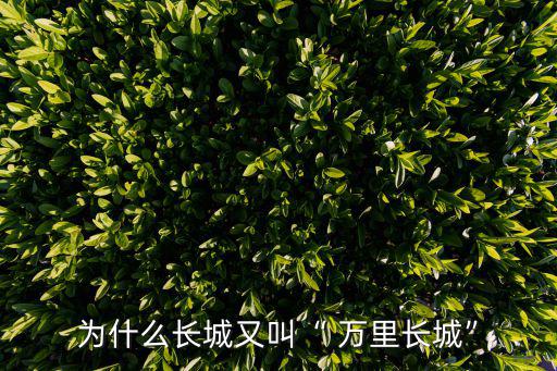 為什么長城又叫“ 萬里長城”