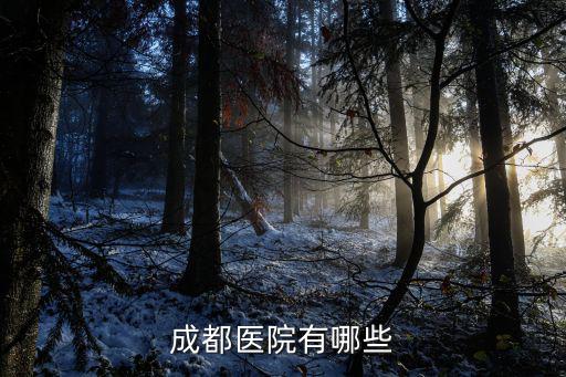 成都市4級以上醫院，成都市第四人民醫院是什么等級