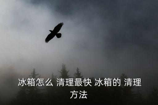  冰箱怎么 清理最快 冰箱的 清理方法