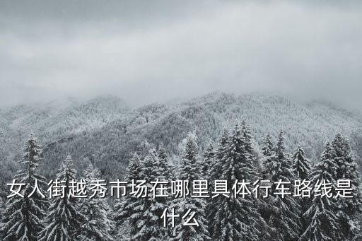 廣州越秀洋妞街，女人街越秀市場在哪里具體行車路線是什么