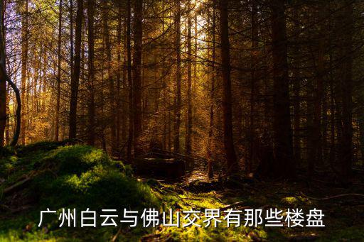 廣州白云與佛山交界有那些樓盤