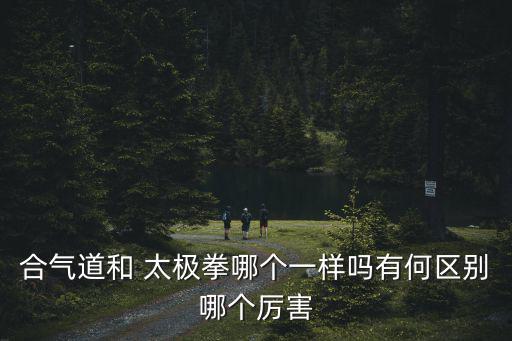 合氣道和 太極拳哪個一樣嗎有何區別哪個厲害