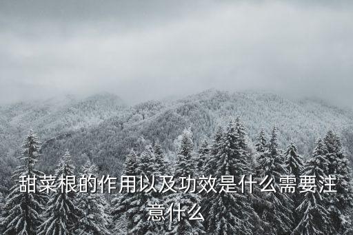  甜菜根的作用以及功效是什么需要注意什么