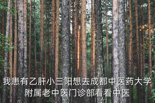 我患有乙肝小三陽想去成都中醫(yī)藥大學附屬老中醫(yī)門診部看看中醫(yī)