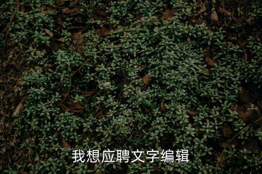 我想應(yīng)聘文字編輯