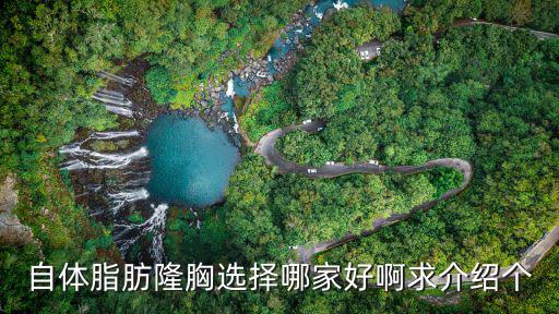 自體脂肪隆胸選擇哪家好啊求介紹個(gè)