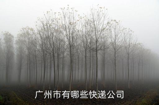 廣州市有哪些快遞公司