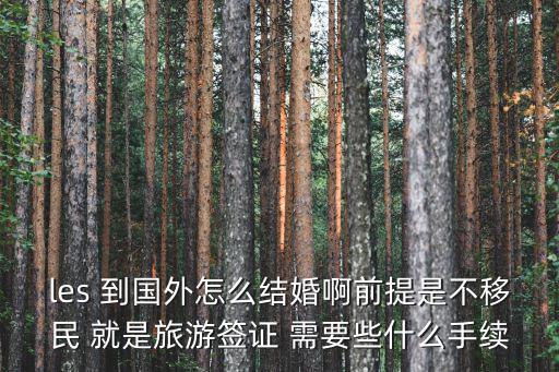 les 到國外怎么結婚啊前提是不移民 就是旅游簽證 需要些什么手續