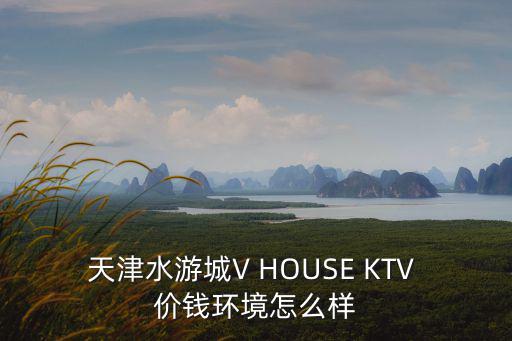 天津水游城V HOUSE KTV 價錢環境怎么樣