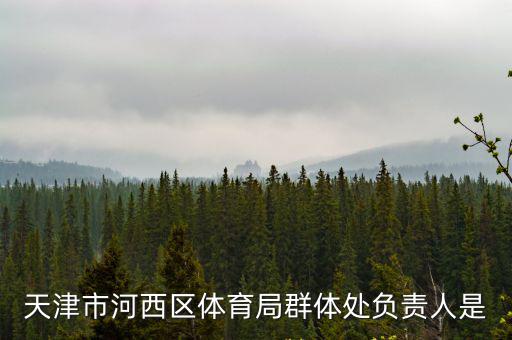 天津市河西區體育局群體處負責人是