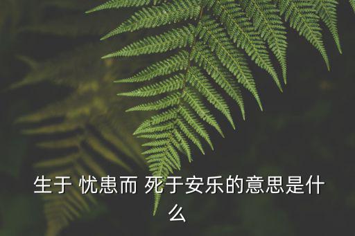 生于憂患死于憂患,生于憂患死于安樂