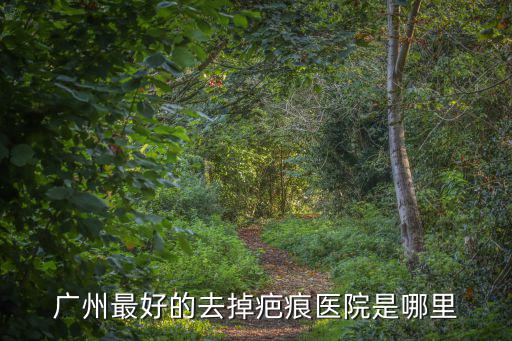 廣州最好的去掉疤痕醫院是哪里
