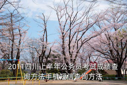 2011四川上半年公務員考試成績查詢方法手機短信查詢方法