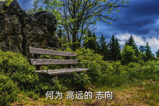 志向高遠,大學生志向高遠:不滿足于現狀不斤斤計較