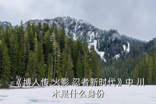 火影忍者川木,火影忍者衍生故事開頭就是驚喜