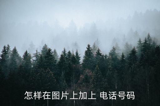 怎樣在圖片上加上 電話號碼