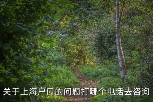 關(guān)于上海戶口的問題打哪個(gè)電話去咨詢