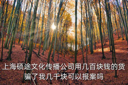 上海碩途文化傳播公司用幾百塊錢的貨騙了我幾千塊可以報案嗎