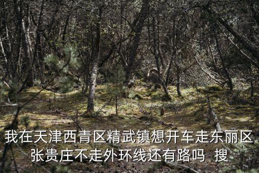 我在天津西青區精武鎮想開車走東麗區張貴莊不走外環線還有路嗎  搜