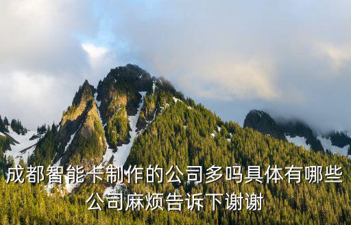 成都智能卡制作的公司多嗎具體有哪些公司麻煩告訴下謝謝