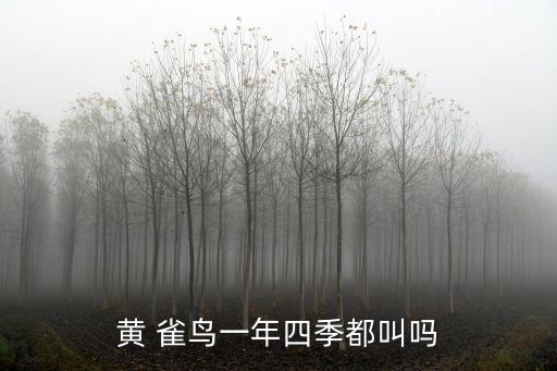 黃雀鳥,如何辨識(shí)一只優(yōu)等生?看這里!