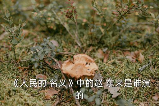 人民的名義趙東來,趙東來以人民名義擔任公安局局長