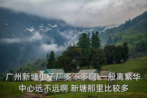 廣州新塘電子廠多不多啊 一般離繁華中心遠(yuǎn)不遠(yuǎn)啊 新塘那里比較多