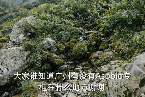 廣州哪里有男士皮帶專賣店，廣州哪里有LUFFY專賣店