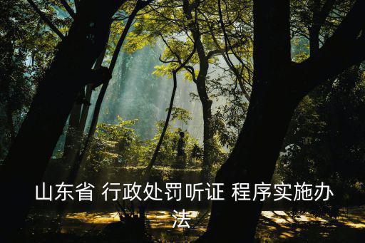 山東省行政程序規定,法律依據:為規范行政處罰和保障公民權利