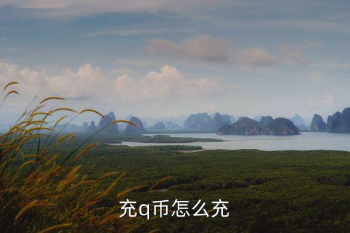 充q幣怎么充