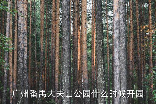 廣州番禺大夫山公園什么時候開園