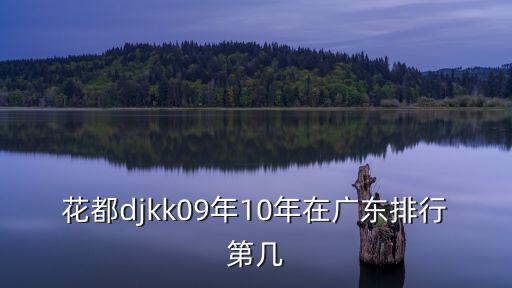 花都djkk09年10年在廣東排行第幾