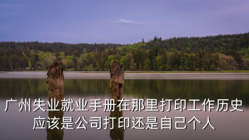 廣州失業(yè)就業(yè)手冊在那里打印工作歷史應(yīng)該是公司打印還是自己個(gè)人