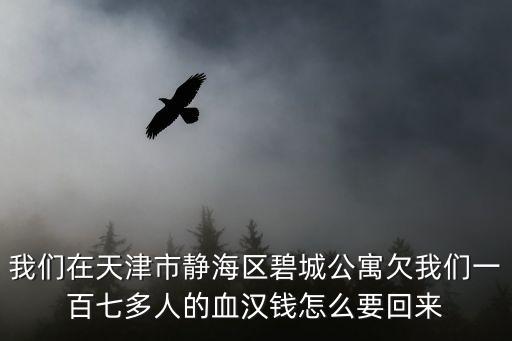 我們在天津市靜海區碧城公寓欠我們一百七多人的血漢錢怎么要回來